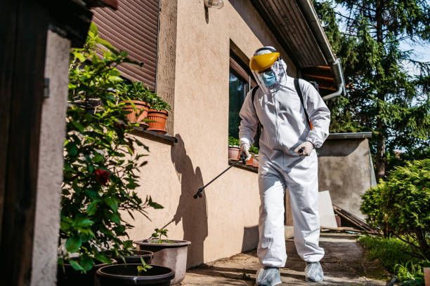 Best Wildlife Control Services  in Wildwood, MO