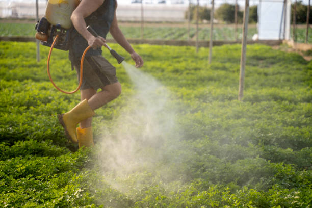 Best Affordable Exterminators  in Wildwood, MO