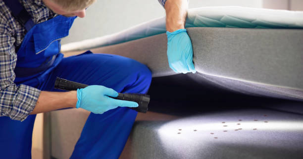 Best Emergency Pest Control  in Wildwood, MO