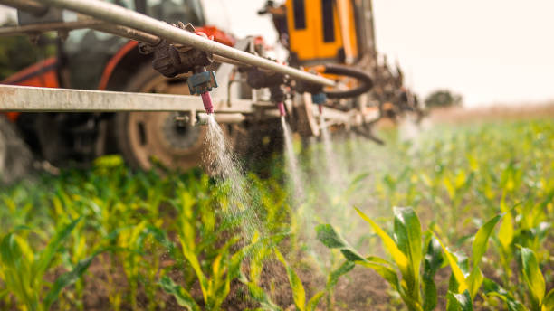 Best Best Pest Control Companies  in Wildwood, MO